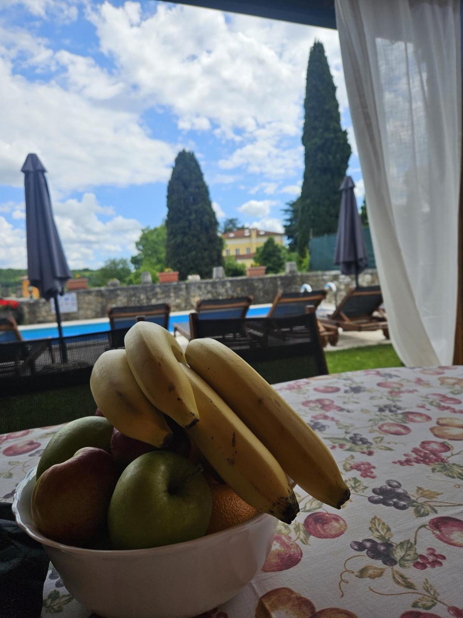 Villa Letizia Oprtalj Exteriör bild