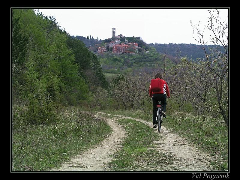 Villa Letizia Oprtalj Rum bild